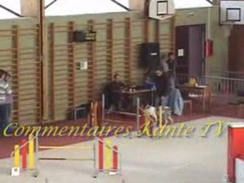 Agility (G.P.F. et Jumping Audun-Le-Roman 2ème partie)