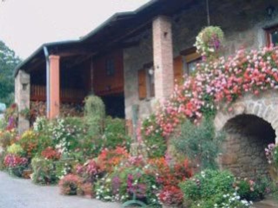 Le printemps