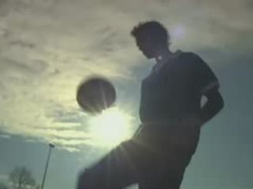 Last Of The English Roses