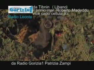 videointerviste rg1-radio leonte-collegamento con il ...
