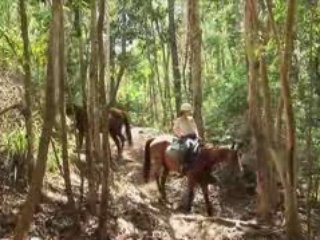 Downunder Tours Cairns - Horse-riding and ATV Tours