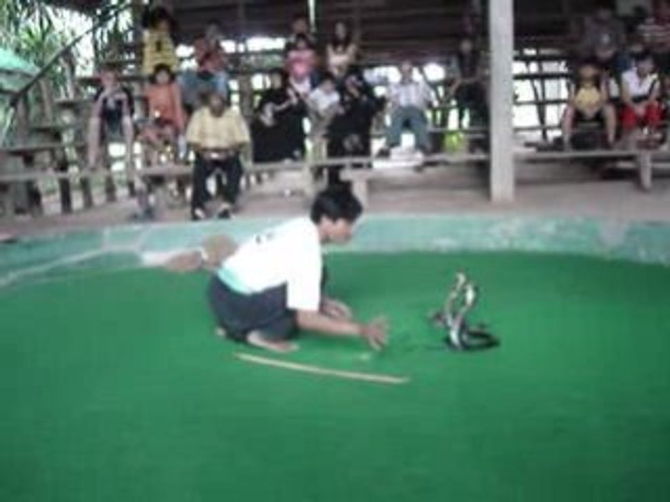 Chiang Mai - Cobrafreak ´07