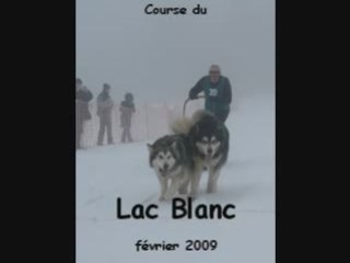 Brevet de travail Lac blanc.02.2009.