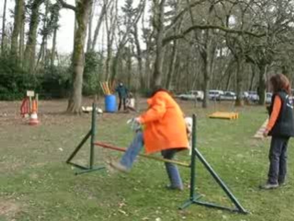 2009 fev 22 agility camelia table+haie