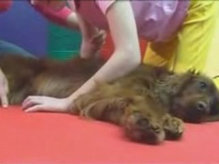 Lublin: Dogoterapia w dziecięcym szpitalu