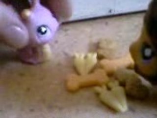 Littlest petshop:C'est qui qui a bouffer tous les biscuits ?