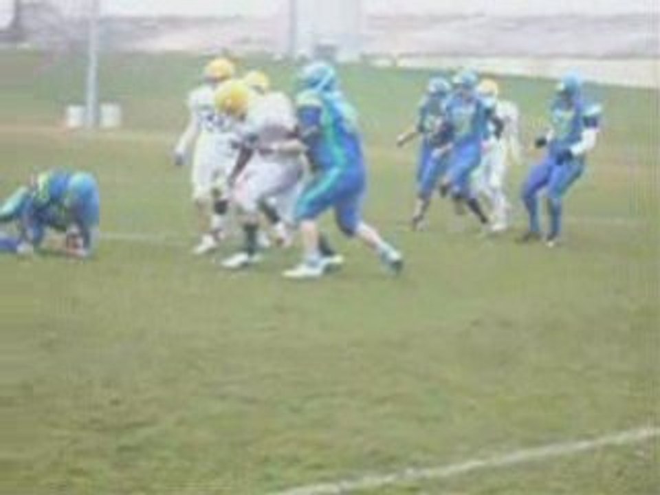 Salamandres 84-13 lycans