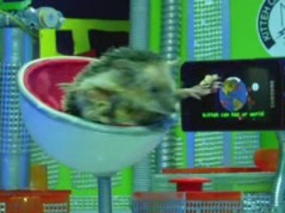 Pub-samsung-ecran-telephone-animaux