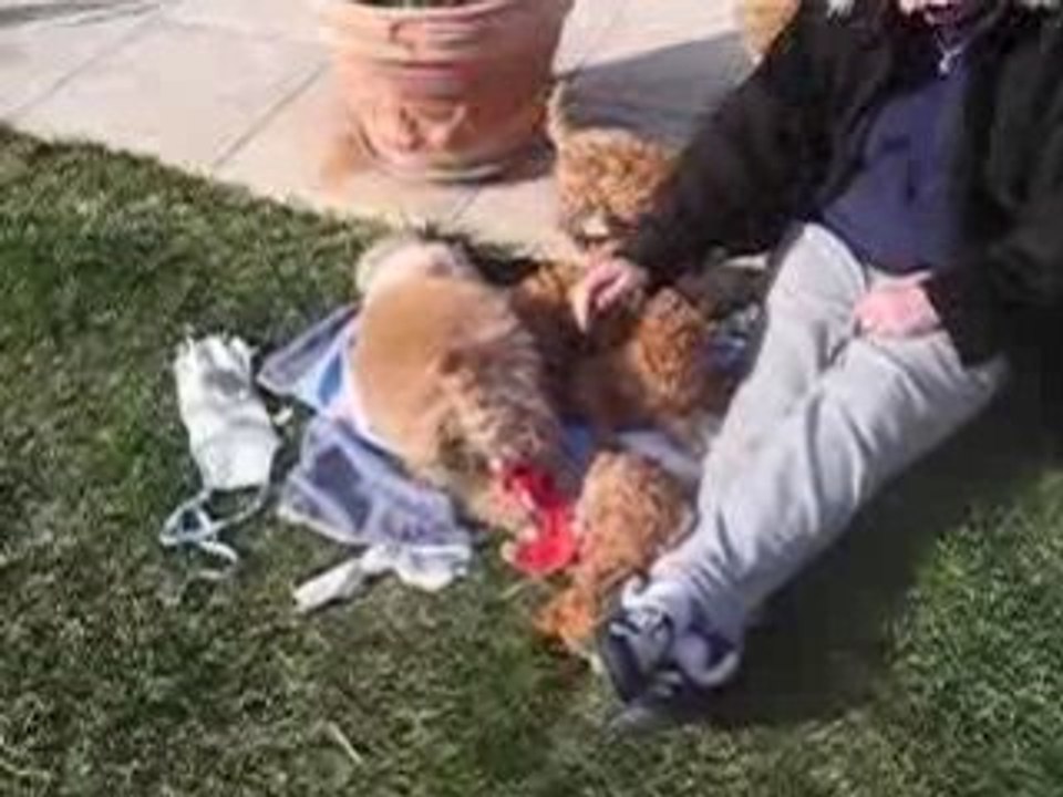 Video choiots 2009 002