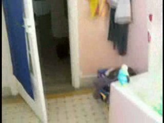 Betisier La vangeance de la maman pingouin du le pingouin