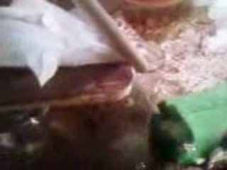 Yuki et encore le mouchoir !