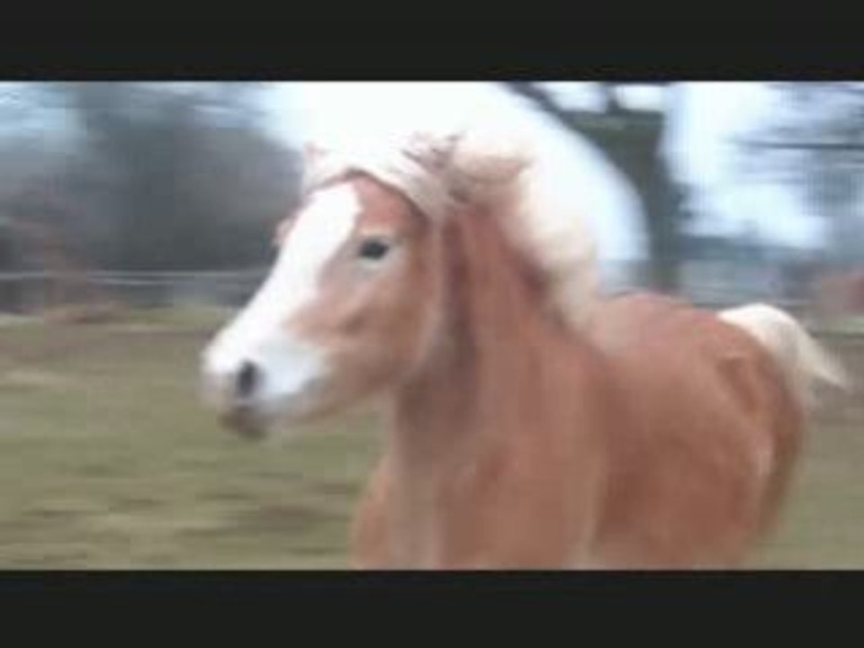 Changements de pieds