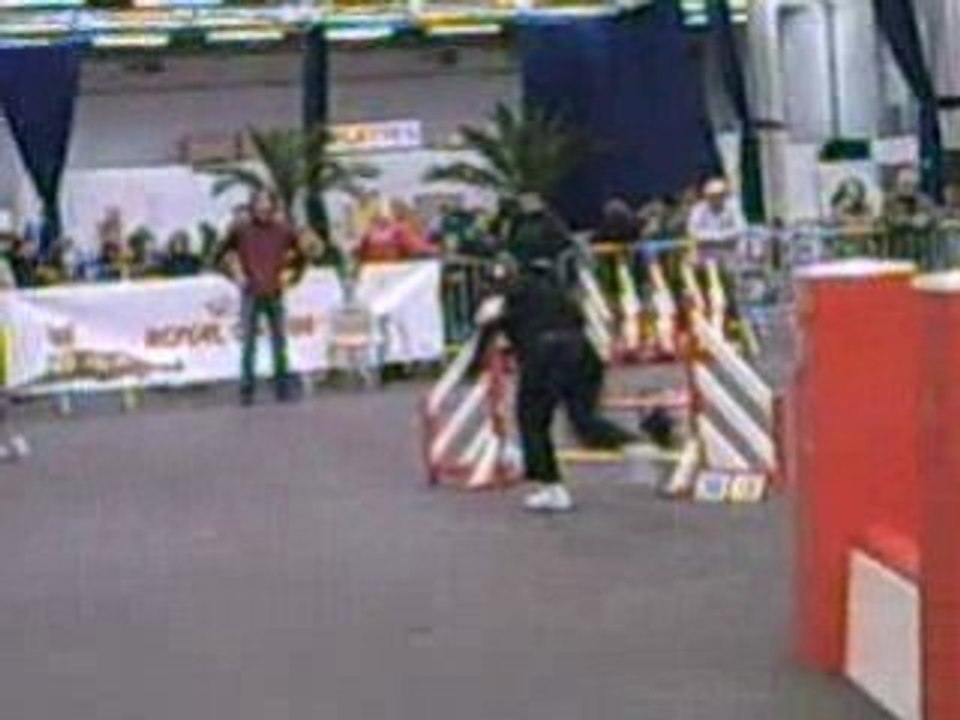 Celtic 1er degré
