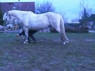 Campo et révérence