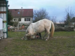 Campo et révérence