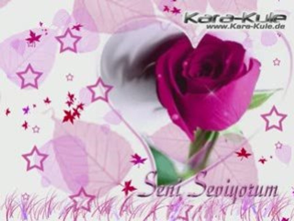 senı sevıyorum ...............