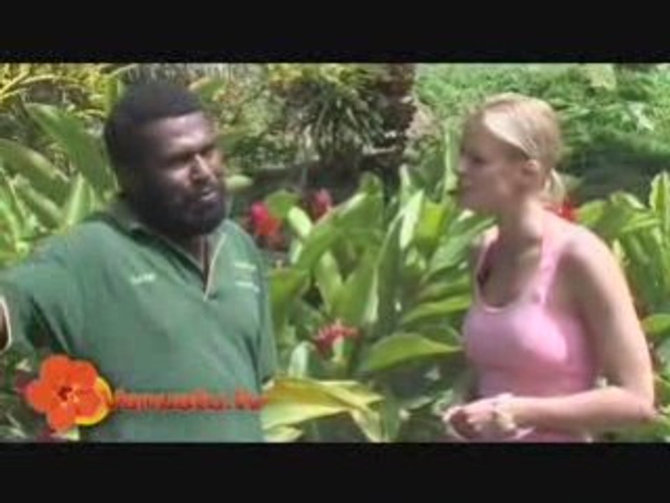 Vanuatu Mele Cascade waterfall