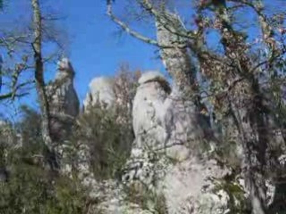 Le bois de Paîolive fevrier 2009