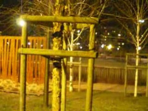 Lyon: Ombres et Lumières sur Palissades