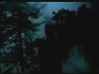 Run baby run fast Funny Ads