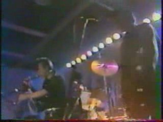 The Alligators mambo rock