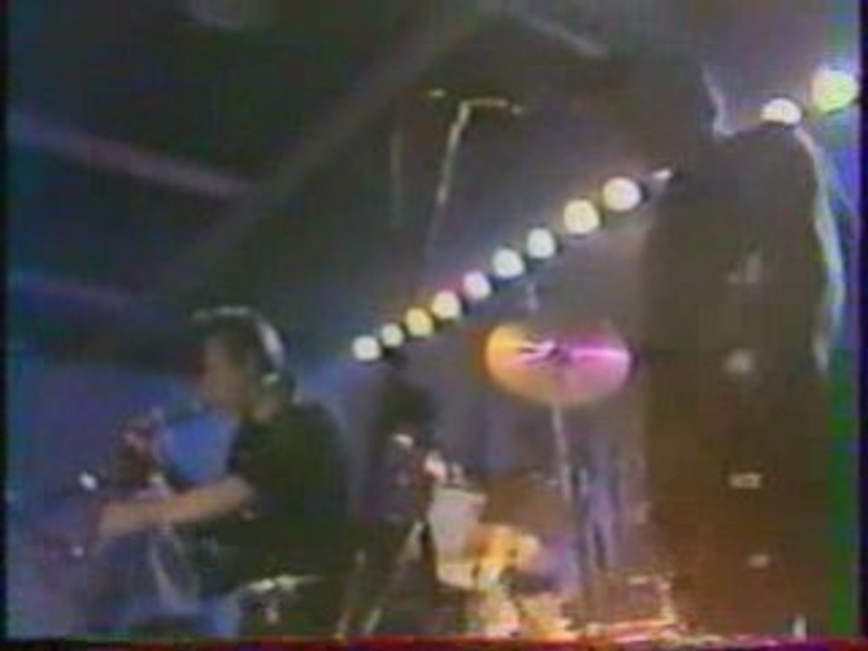 The Alligators mambo rock