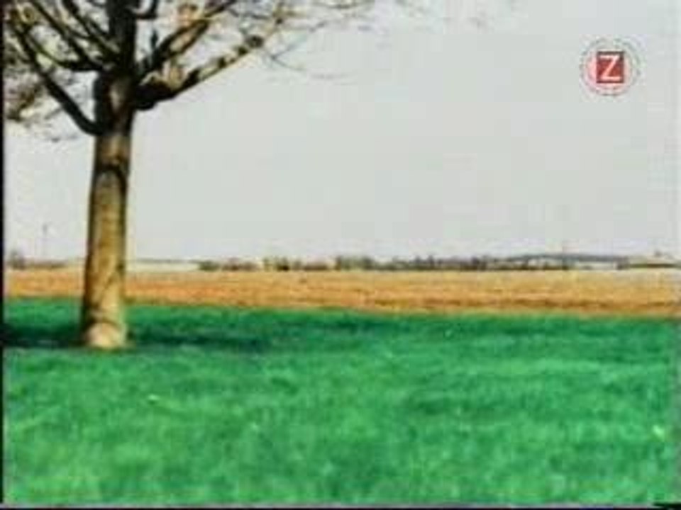 Puff Daddy - I'll be missing you