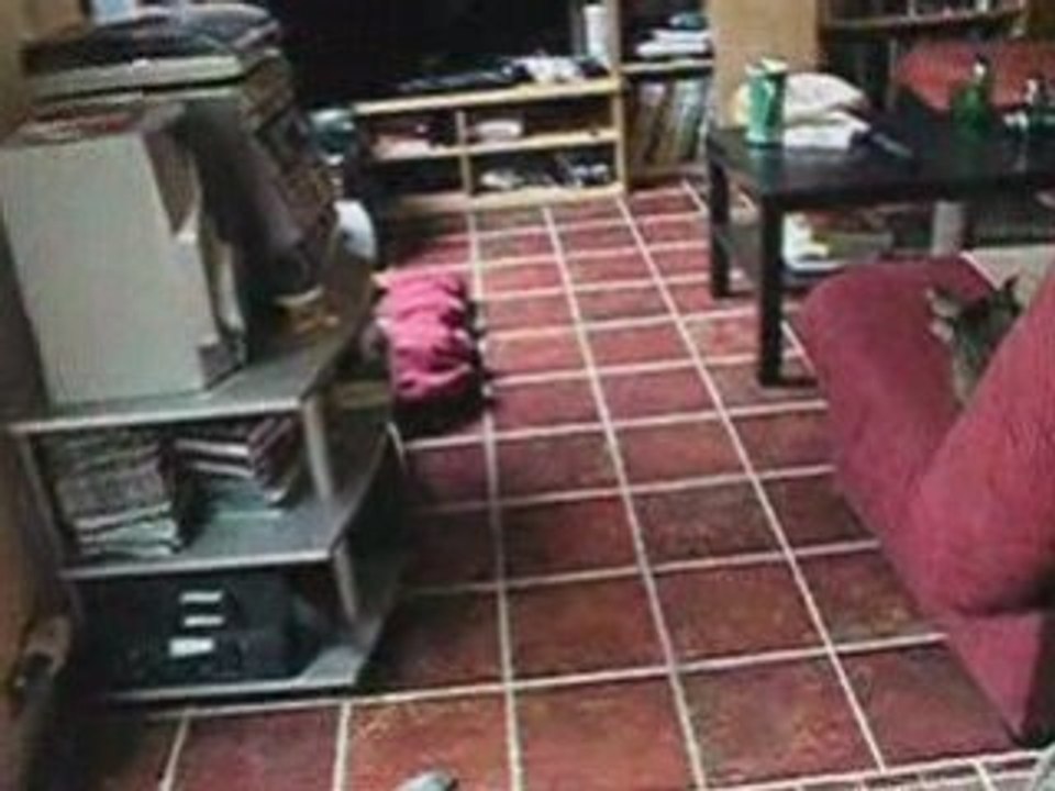 Oli BBL2 24 fev09WEB 2