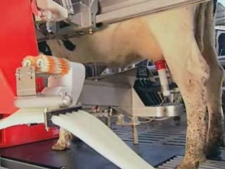 Lely - Robot de traite Astronaut
