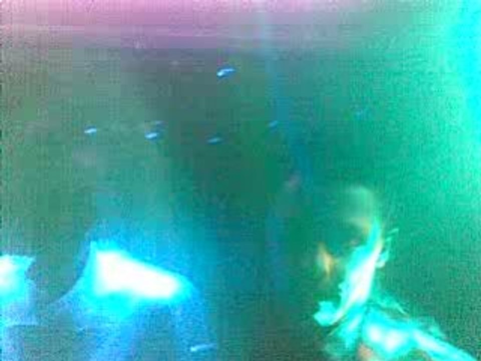 18012009