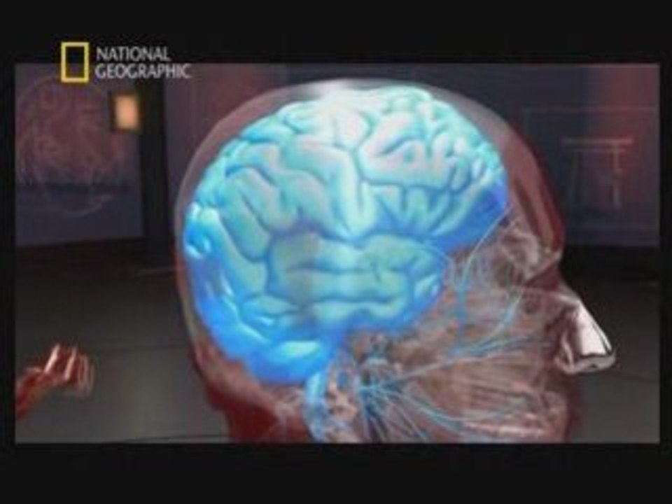 La science du combat -1/5