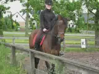 Marco Borsato - Jij alleen