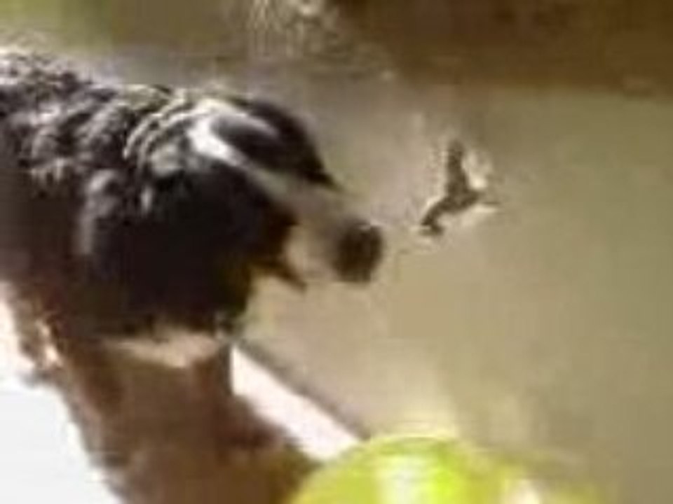 Vidéo0053