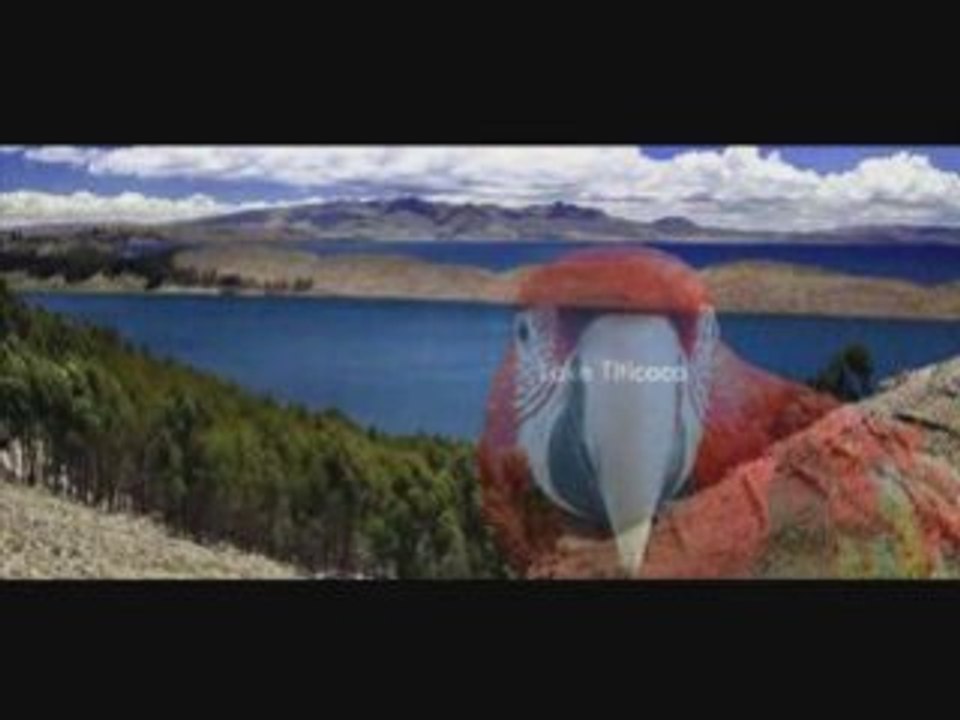 Best of Peru