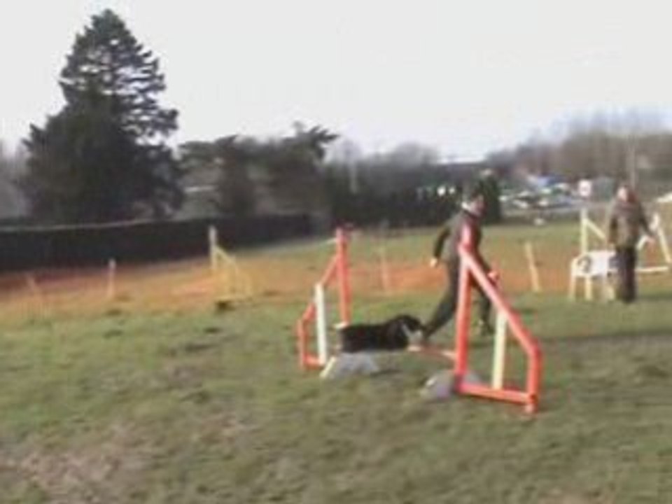 Bamboo 25-02-09