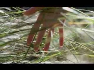 100% Pure New Zealand