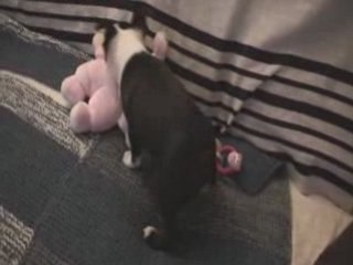 Les aventures de Dalakhani - Mix 24/02/2009