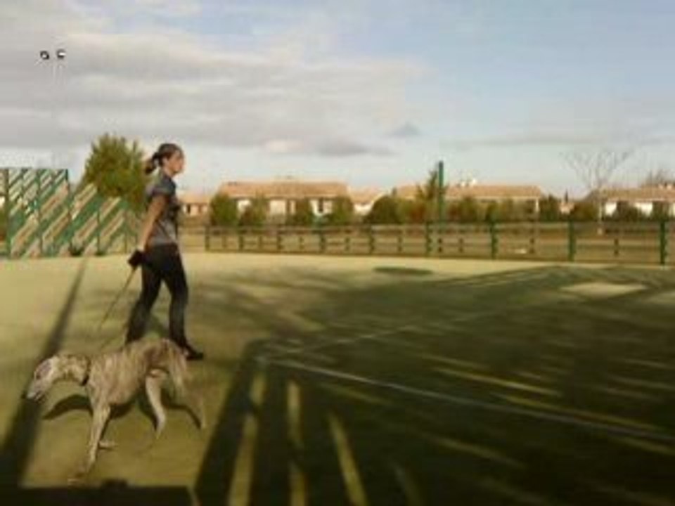 Caspére entrainement spectacle