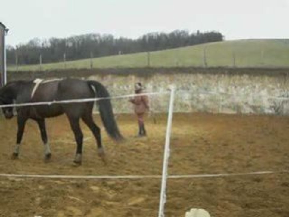 Philou à la longe