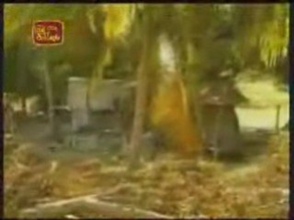 Wanni Operation-LTTE All in One Grave 25-02-2009
