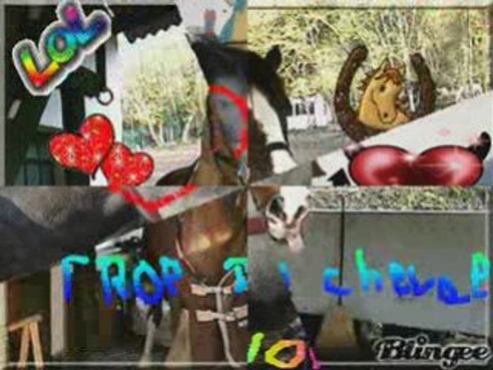 les poney du val de saone en blingee