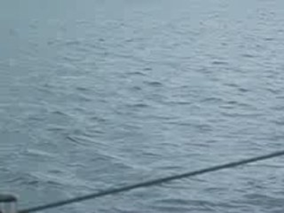 DSCF0791