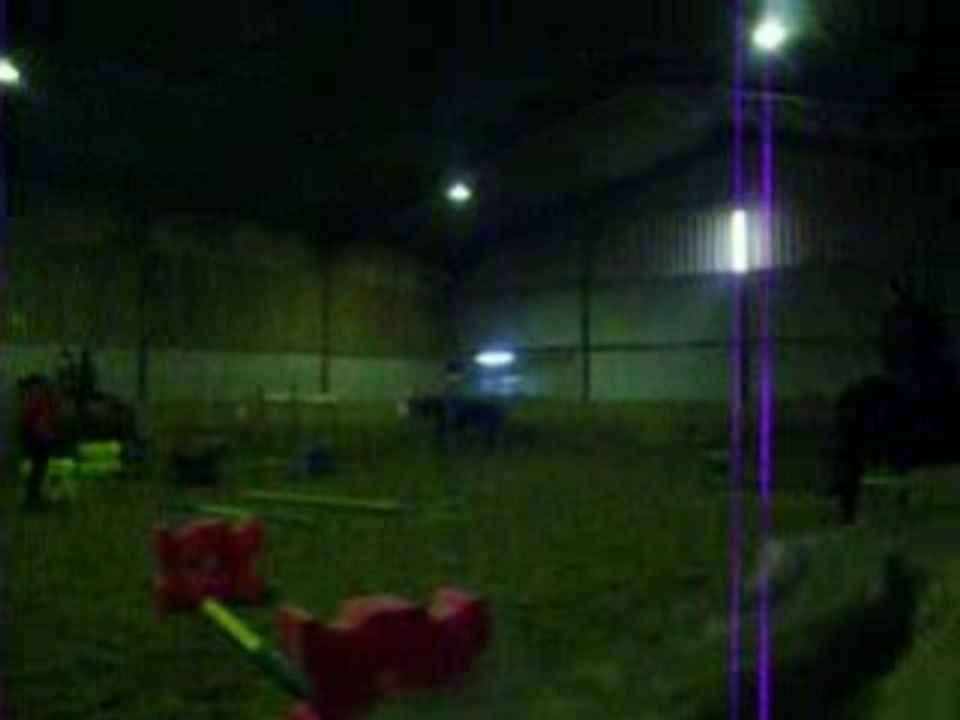 Travail sur barres au sol et cavalettis