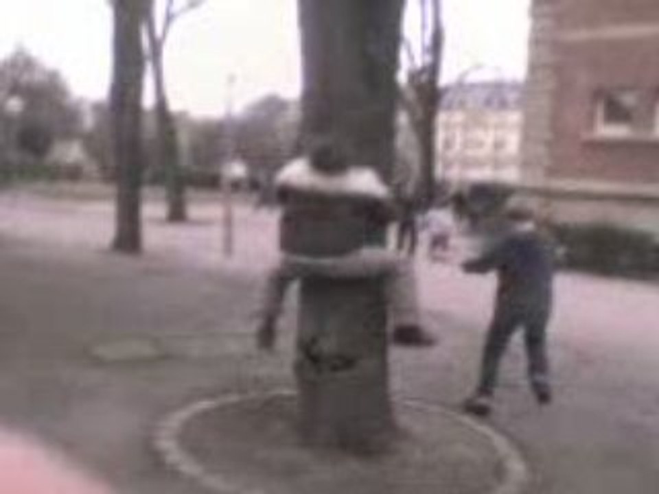 L'arbrofile