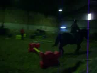 Travail sur barres au sol et cavalettis (4)