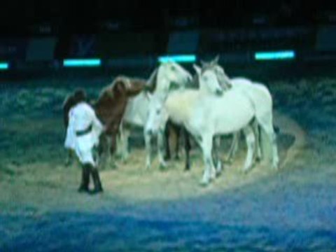 Jean-françois Pignon criniere d'or 2009 videos 2 bis