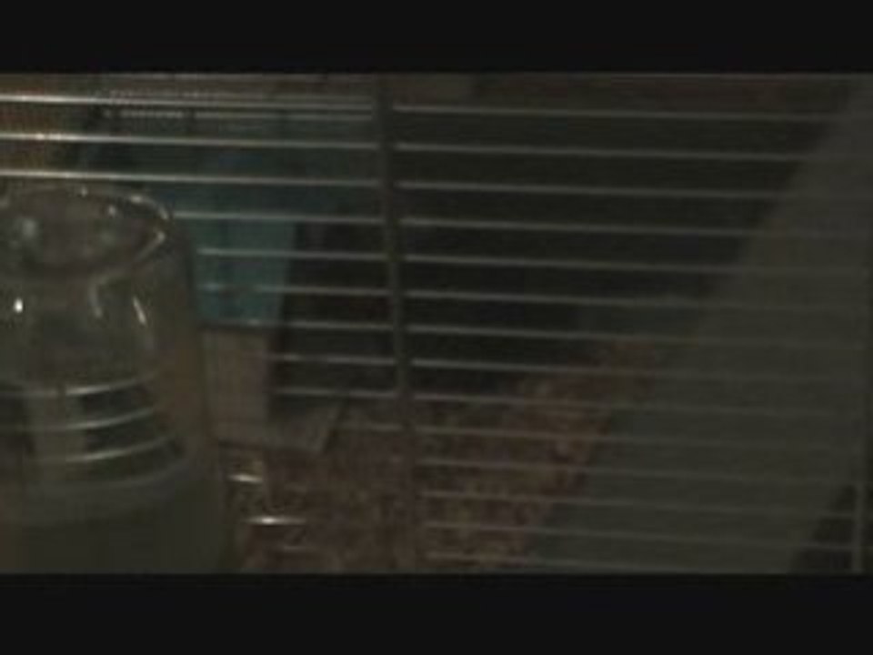 Nesquick et sa nouvelle cage