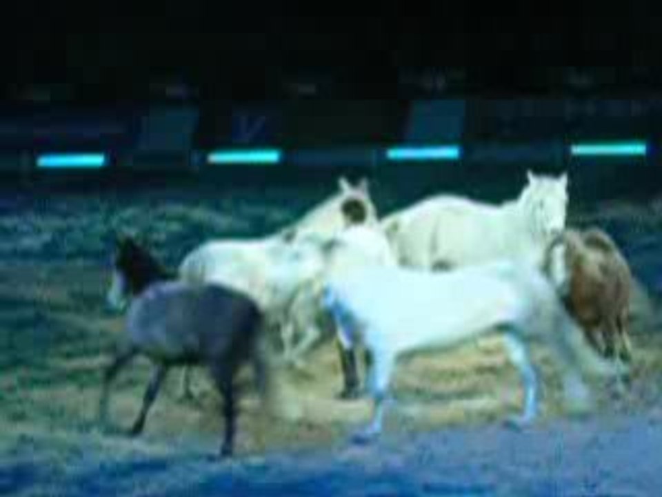 Jean-françois Pignon criniere d'or 2009 videos 3