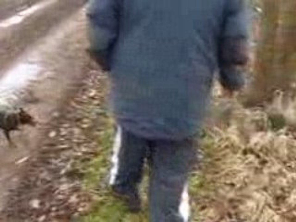 Elle est 'ti folle birdy