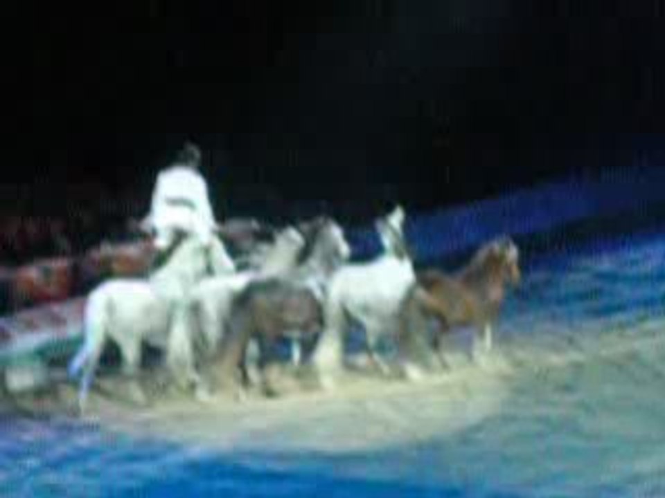 Jean-françois Pignon criniere d'or 2009 videos 6